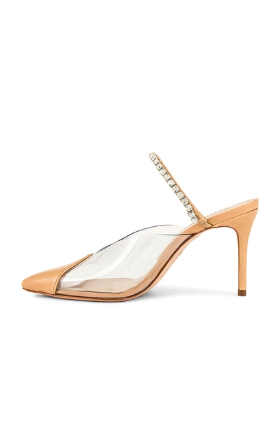 Shop Schutz Lindi Pump In Honey Beige & Transparent