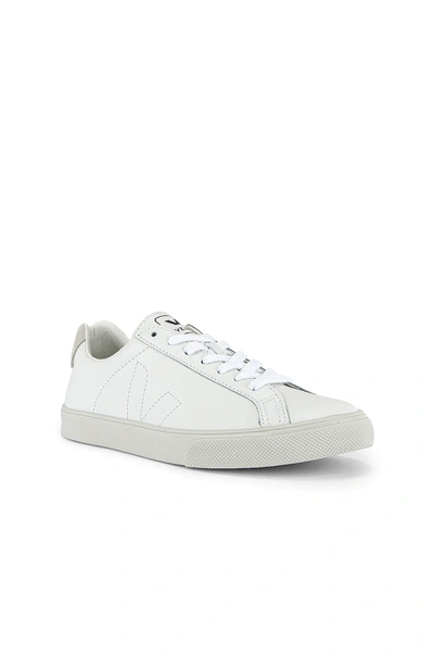 Veja Esplar Leather White Trainers In Extra White