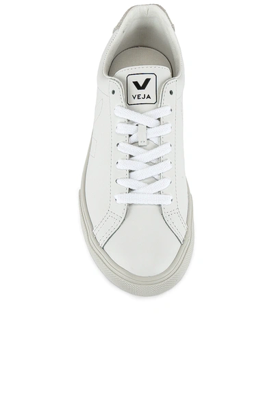 Veja Esplar Leather White Trainers In Extra White