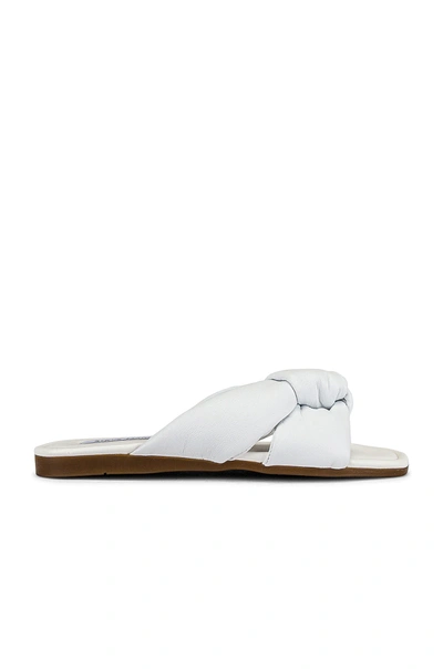 Shop Steve Madden Entrada Sandal In White