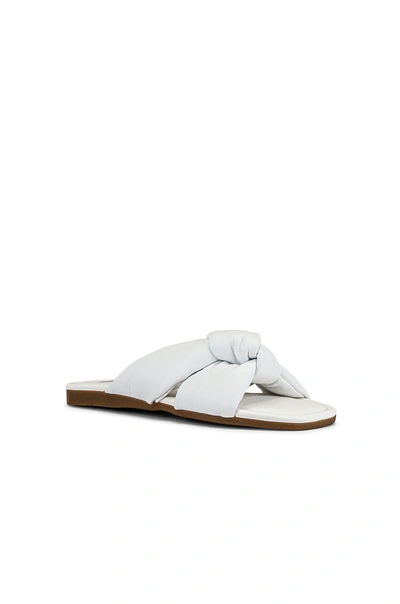 Shop Steve Madden Entrada Sandal In White