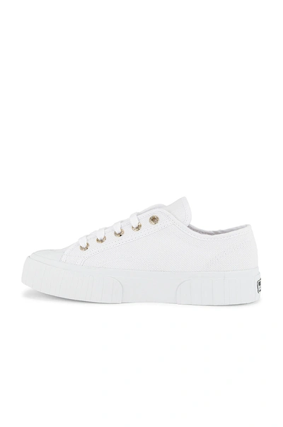 Shop Superga 2630 Cotu Canvas Sneaker In White Gold