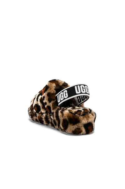 Shop Ugg Fluff Yeah Leopard Shearling Slide In Amphora