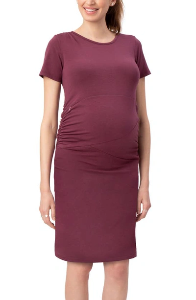 Shop Stowaway Collection Gramercy Maternity/nursing Dress In Wine
