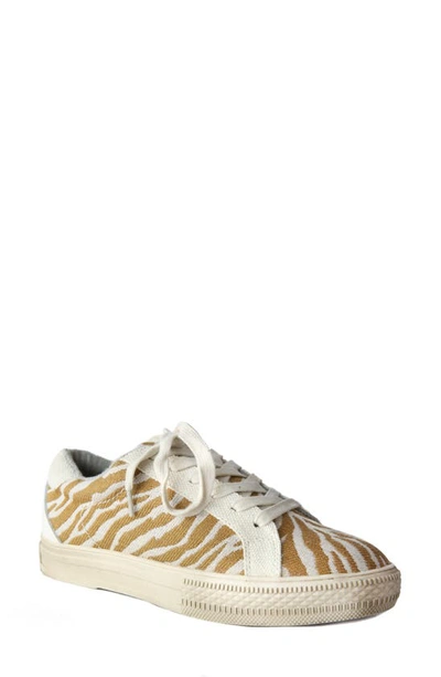 Shop Band Of Gypsies Starry Sneaker In Canvas Zebra Print Natural