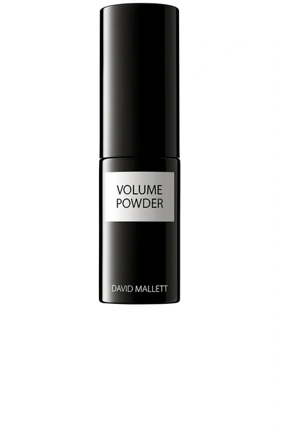Shop David Mallett Volume Powder In N,a
