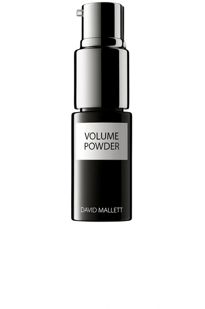 Shop David Mallett Volume Powder In N,a
