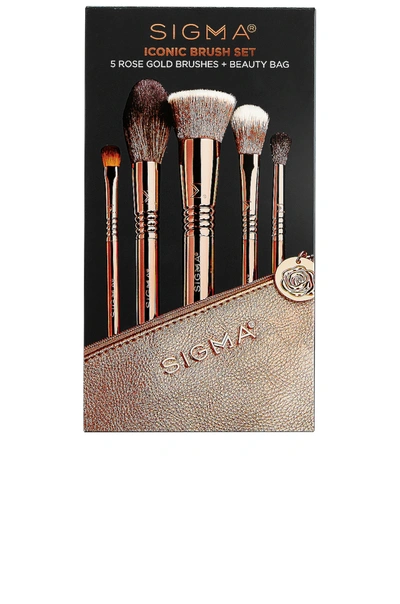 Shop Sigma Beauty Cor-de-rosa Iconic Brush Set In N,a
