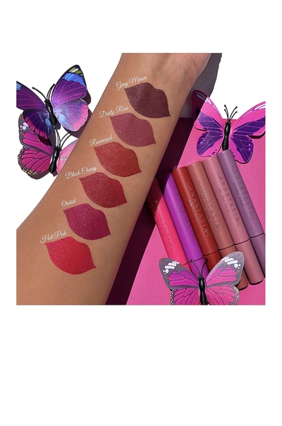 Shop Anastasia Beverly Hills Lip Stain In Orchid