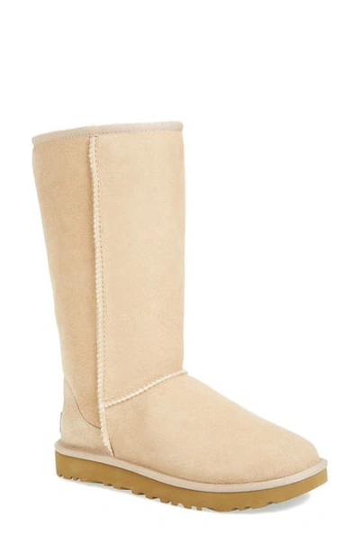 Shop Ugg Classic Ii Genuine Shearling Lined Tall Boot In Sand Suede