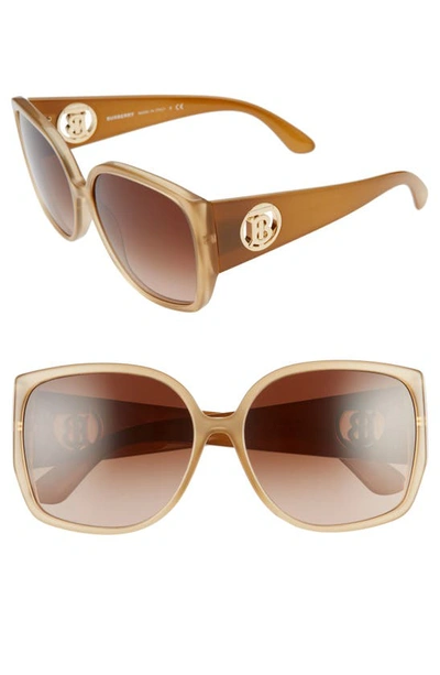 Shop Burberry 61mm Square Sunglasses In Opal Beige/ Gradient