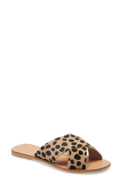 Shop Seychelles Total Relaxation Slide Sandal In Cheetah Print Calf Hair