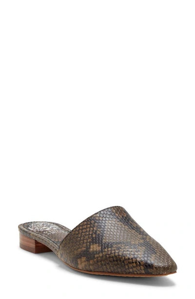 Shop Vince Camuto Felinial Mule In Taupe Snake Print Leather