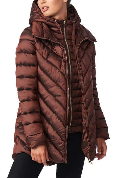Shop Bernardo Asymmetrical Channel Quilted Jacket With Hooded Bib Inset In Espresso