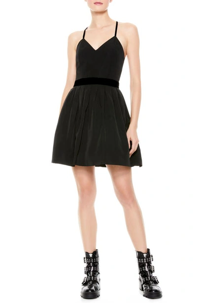 Shop Alice And Olivia Madison Pleated Fit & Flare Minidress In Black