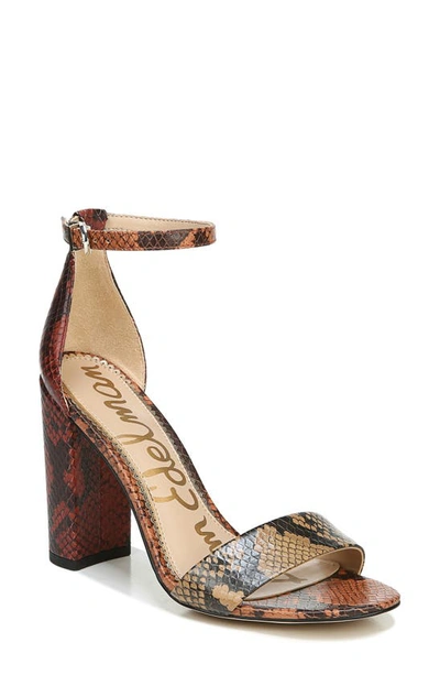 Shop Sam Edelman Yaro Ankle Strap Sandal In Caramel/ Paprika/ Clay Leather