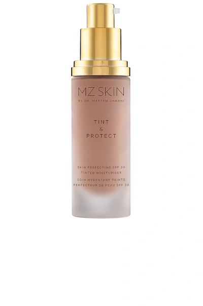 Shop Mz Skin Tint & Protect Skin Perfecting Spf 30 Tinted Moisturizer In N,a