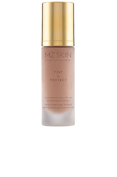 Shop Mz Skin Tint & Protect Skin Perfecting Spf 30 Tinted Moisturizer In N,a