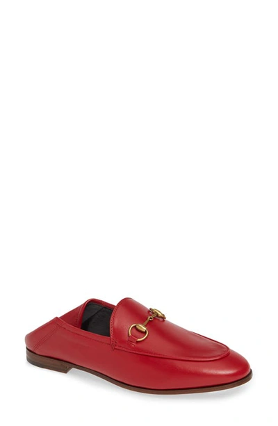 Shop Gucci Brixton Horsebit Convertible Loafer In Hibiscus Red