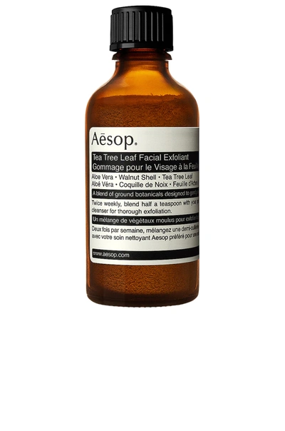 Shop Aesop Tea Tree Leaf Facial Exfoliant In N,a