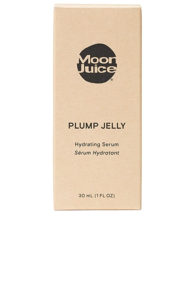 Shop Moon Juice Plump Jelly Hyaluronic Serum In N,a