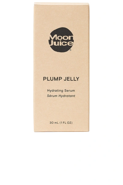 Moon Juice Plump Jelly Hyaluronic Serum 1 oz/ 30 ml In N,a