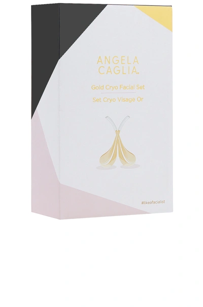 Shop Angela Caglia Skincare Cryo Facial Set In Gold