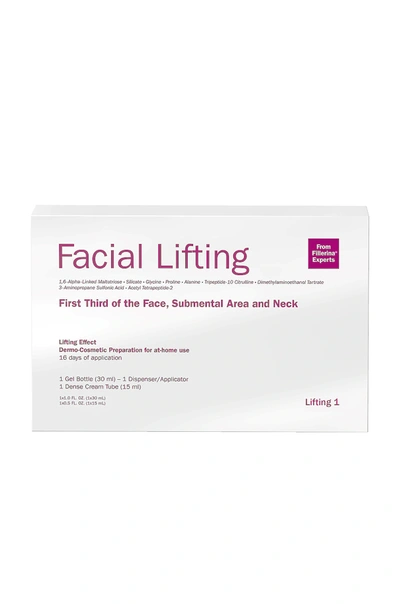 Shop Fillerina Labo Facial Lifting Treatment Grade 1 In N,a