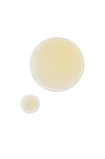 Osea Fragrance Free Undaria Algae Body Oil In N,a