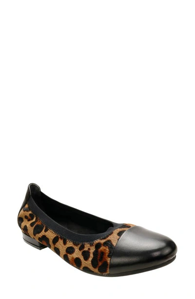 Shop David Tate Nicole Cap Toe Flat In Black Leather/ Leopard Print