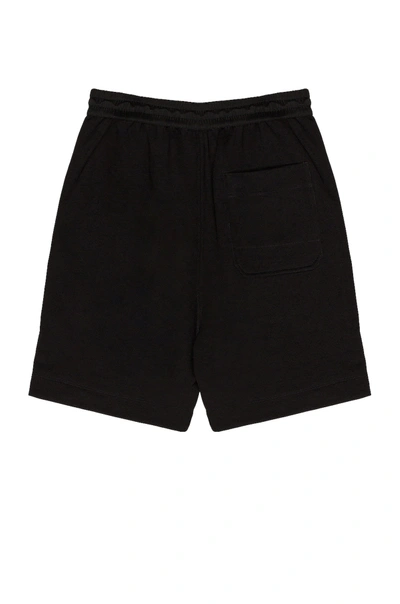 Shop Y-3 Terry Shorts In Black