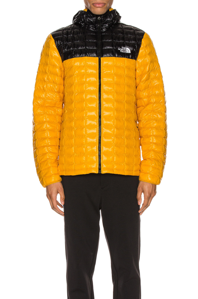 Shop The North Face Thermoball Eco Hoodie In Summit Gold & Tnf Black