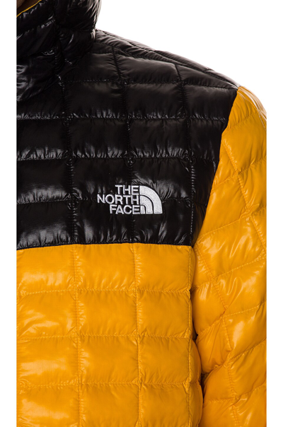 Shop The North Face Thermoball Eco Hoodie In Summit Gold & Tnf Black