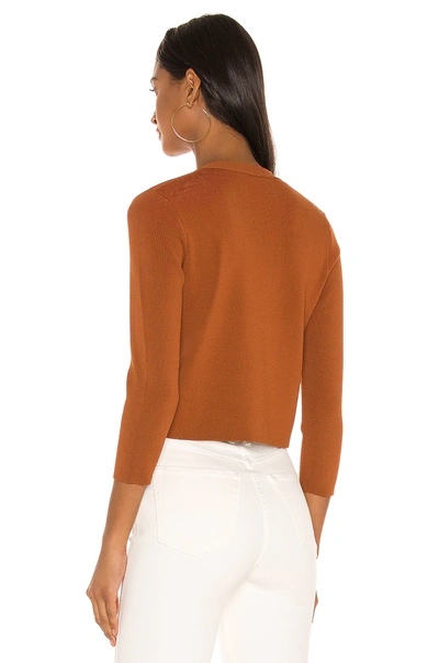 Shop Alexis Petal Top In Rust