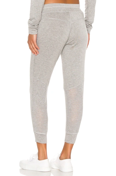 Shop Alala Heron Jogger In Heather Grey