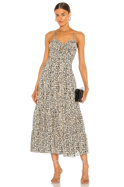 Shop Alexis Jenay Dress With Braided Strap Details In Abstract Sand