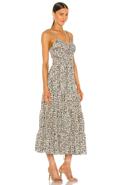 Shop Alexis Jenay Dress With Braided Strap Details In Abstract Sand