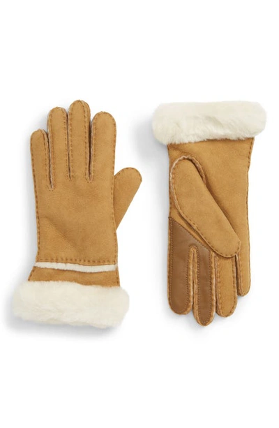 Shop Ugg Seamed Touchscreen Compatible Genuine Shearling Lined Gloves In Chestnut
