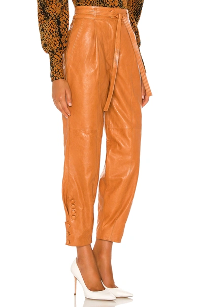 Shop Ulla Johnson Navona Pant In Cognac