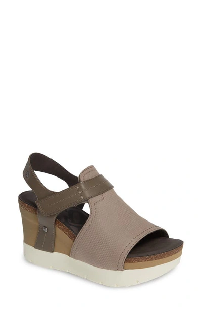 Shop Otbt Waypoint Wedge Sandal In Cacao Leather