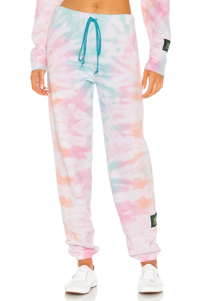 Shop Danzy Classic Sweatsuit Collection Pant In Sherbet