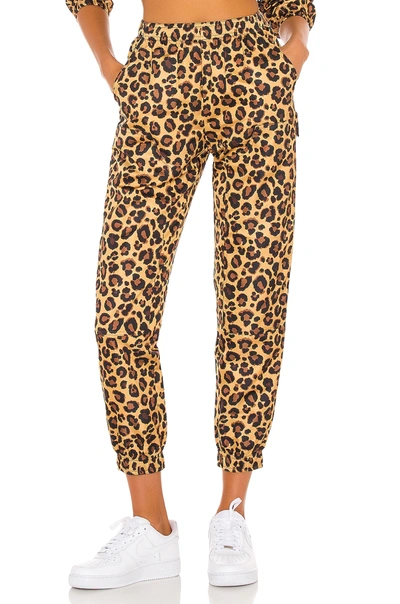 Shop Adam Selman Sport Unisex Workwear Track Pant In Honey Leopard