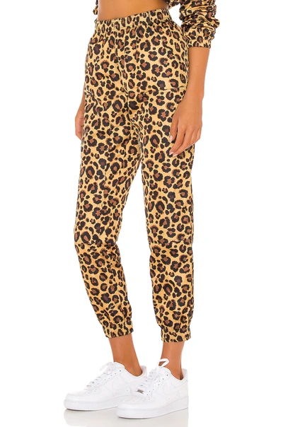 Shop Adam Selman Sport Unisex Workwear Track Pant In Honey Leopard