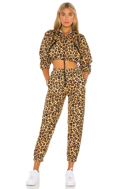 Shop Adam Selman Sport Unisex Workwear Track Pant In Honey Leopard