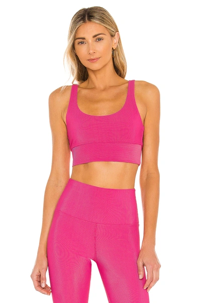 Beach Riot Leah Rib Knit Crop Top In Fuchsia