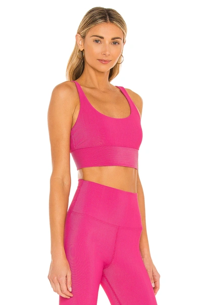 Beach Riot Leah Rib Knit Crop Top In Fuchsia