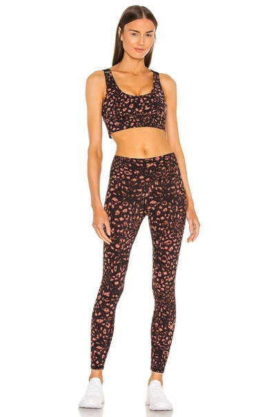 Shop Varley Edris Sports Bra In Red Textured Animal