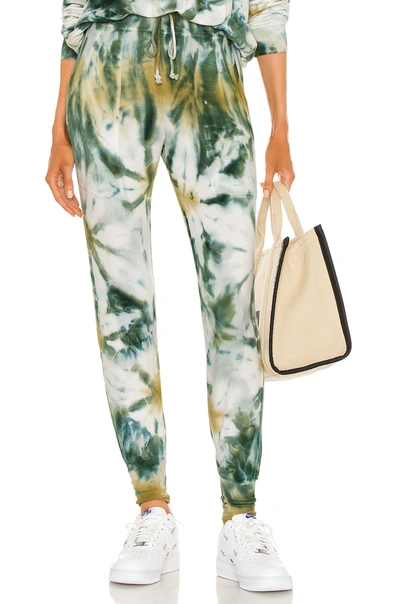 Shop Young Fabulous & Broke Reid Jogger In Winterleaf Wash