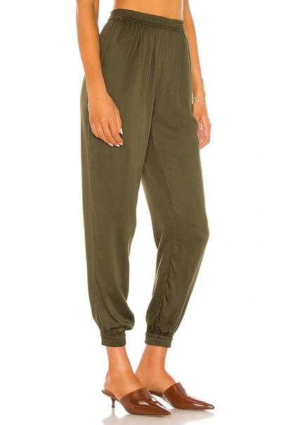 Shop Indah Pierre Pant In Cactus