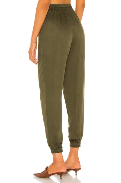 Shop Indah Pierre Pant In Cactus